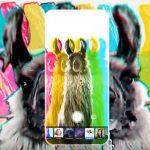 عرضه ی رایگان برنامه ی Photoshop Camera